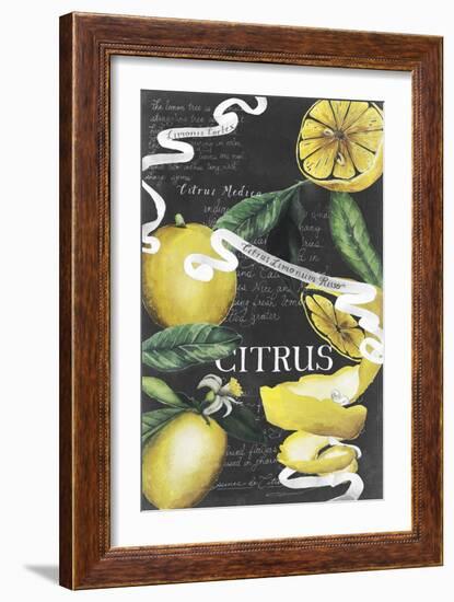 Chalkboard Citrus II-Grace Popp-Framed Art Print