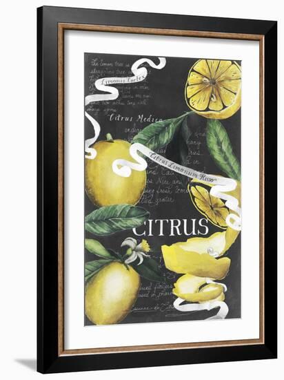 Chalkboard Citrus II-Grace Popp-Framed Art Print