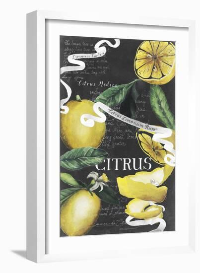 Chalkboard Citrus II-Grace Popp-Framed Art Print