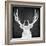 Chalkboard Elk-null-Framed Giclee Print