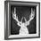 Chalkboard Elk-null-Framed Giclee Print