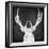 Chalkboard Elk-null-Framed Giclee Print