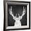 Chalkboard Elk-null-Framed Giclee Print