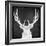 Chalkboard Elk-null-Framed Giclee Print