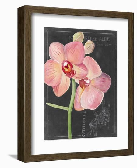 Chalkboard Flower I-Jennifer Parker-Framed Art Print