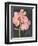 Chalkboard Flower I-Jennifer Parker-Framed Art Print