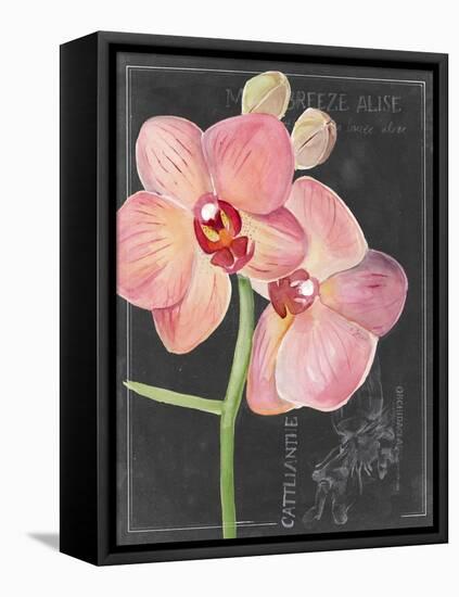 Chalkboard Flower I-Jennifer Parker-Framed Stretched Canvas