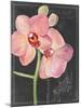 Chalkboard Flower I-Jennifer Parker-Mounted Art Print