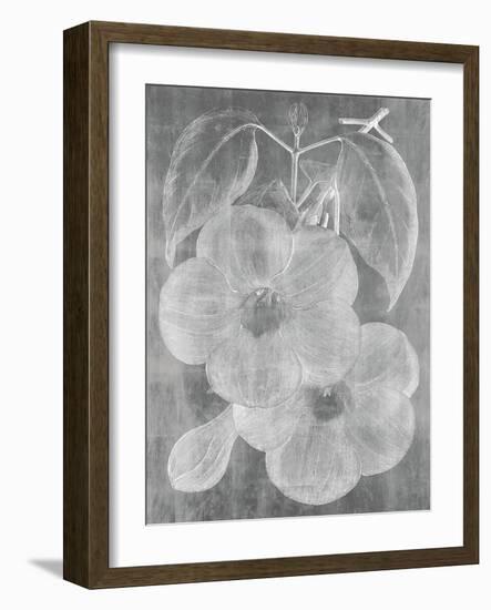 Chalky Floral-Maria Mendez-Framed Giclee Print