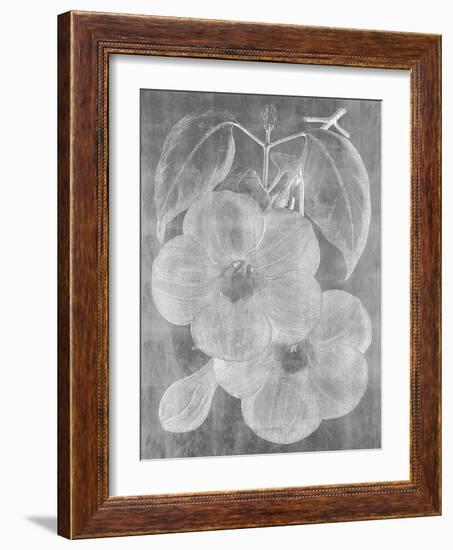 Chalky Floral-Maria Mendez-Framed Giclee Print