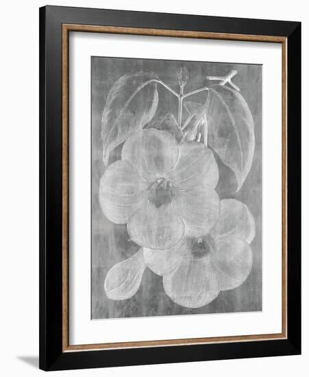 Chalky Floral-Maria Mendez-Framed Giclee Print