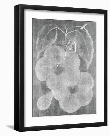 Chalky Floral-Maria Mendez-Framed Giclee Print