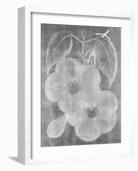 Chalky Floral-Maria Mendez-Framed Giclee Print
