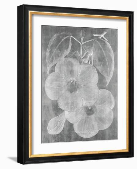 Chalky Floral-Maria Mendez-Framed Giclee Print