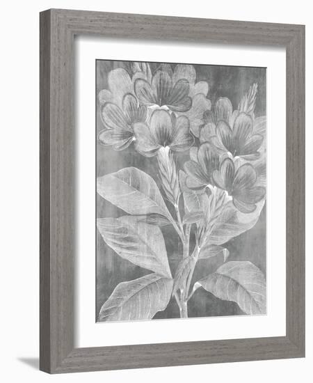 Chalky Posy-Maria Mendez-Framed Giclee Print