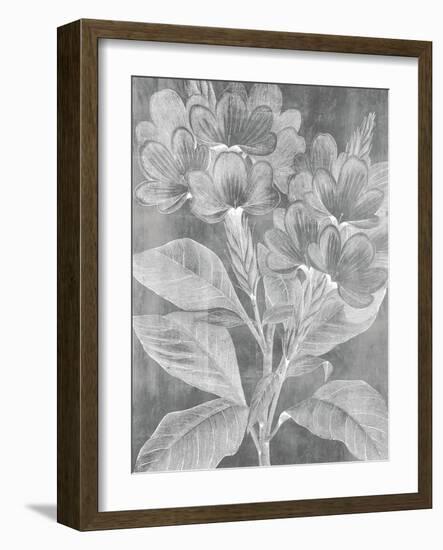 Chalky Posy-Maria Mendez-Framed Giclee Print