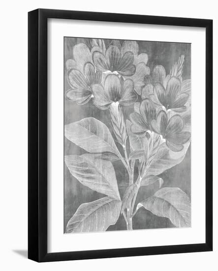 Chalky Posy-Maria Mendez-Framed Giclee Print