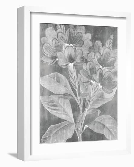 Chalky Posy-Maria Mendez-Framed Giclee Print