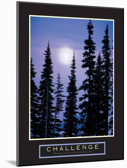 Challenge - Forest Moonrise-unknown unknown-Mounted Photo