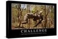 Stretched Canvas Print