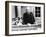 Challenge to Lassie, from Left: Lassie, Edmund Gwenn, 1949-null-Framed Photo