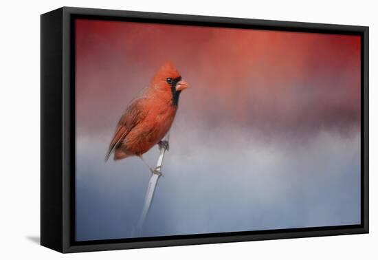 Challenged-Jai Johnson-Framed Premier Image Canvas