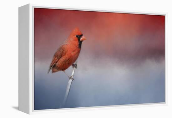 Challenged-Jai Johnson-Framed Premier Image Canvas