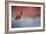 Challenged-Jai Johnson-Framed Giclee Print