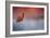 Challenged-Jai Johnson-Framed Giclee Print