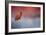 Challenged-Jai Johnson-Framed Giclee Print