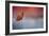 Challenged-Jai Johnson-Framed Giclee Print