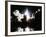 Challenger Liftoff 1983-null-Framed Photographic Print