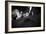 Chalumiste-Sebastien Lory-Framed Photographic Print