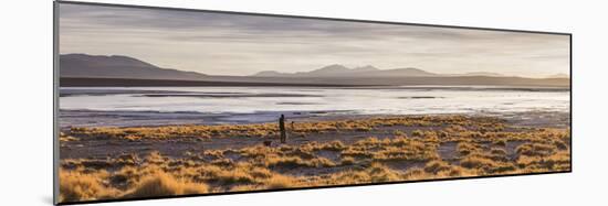 Chalviri Salt Flats (Salar De Chalviri) at Sunrise, Altiplano of Bolivia-Matthew Williams-Ellis-Mounted Photographic Print