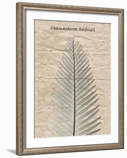 Chamaedorea Illustration-Albert Koetsier-Framed Photo