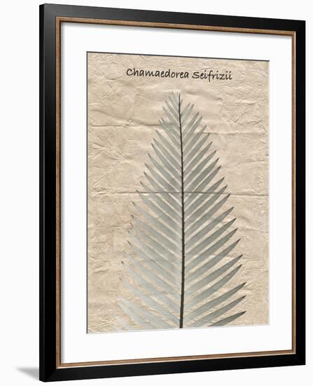 Chamaedorea Illustration-Albert Koetsier-Framed Photo