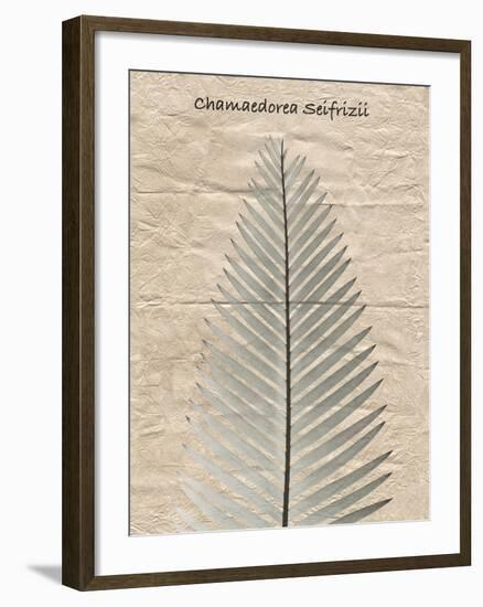 Chamaedorea Illustration-Albert Koetsier-Framed Photo