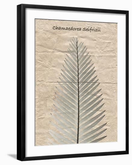 Chamaedorea Illustration-Albert Koetsier-Framed Photo