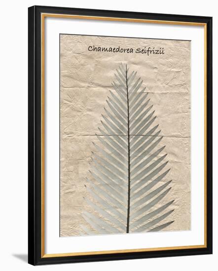 Chamaedorea Illustration-Albert Koetsier-Framed Photo