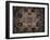 Chamber of Amor and Psyche, Frescoed Ceiling-Giulio Romano-Framed Giclee Print