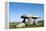 Chamber Tomb of Lanyon Quoit, Land's End Peninsula, Cornwall, England-Paul Harris-Framed Premier Image Canvas