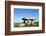 Chamber Tomb of Lanyon Quoit, Land's End Peninsula, Cornwall, England-Paul Harris-Framed Photographic Print