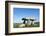 Chamber Tomb of Lanyon Quoit, Land's End Peninsula, Cornwall, England-Paul Harris-Framed Photographic Print