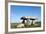 Chamber Tomb of Lanyon Quoit, Land's End Peninsula, Cornwall, England-Paul Harris-Framed Photographic Print