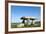 Chamber Tomb of Lanyon Quoit, Land's End Peninsula, Cornwall, England-Paul Harris-Framed Photographic Print