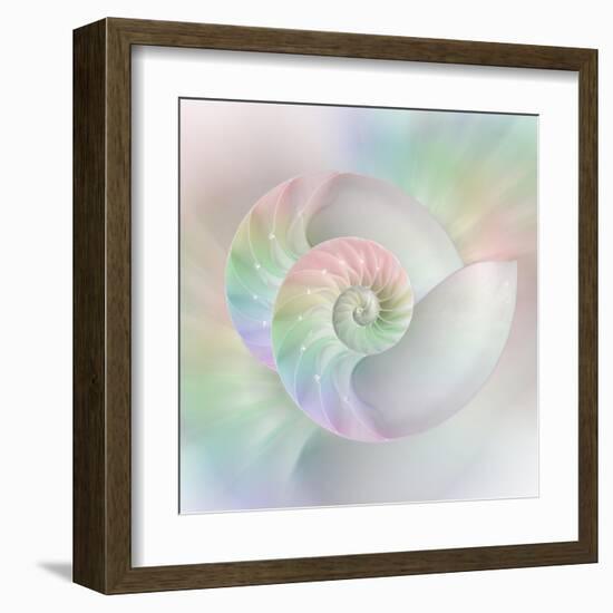 Chambered Nautilus Cutaway Shells on Colorful-Stela Knezevic-Framed Art Print