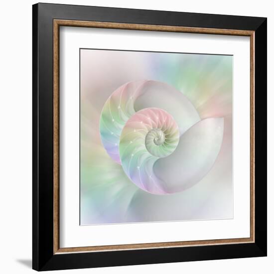Chambered Nautilus Cutaway Shells on Colorful-Stela Knezevic-Framed Art Print