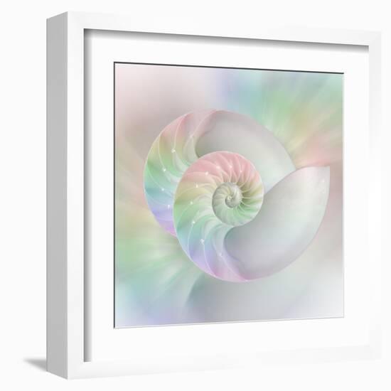 Chambered Nautilus Cutaway Shells on Colorful-Stela Knezevic-Framed Art Print