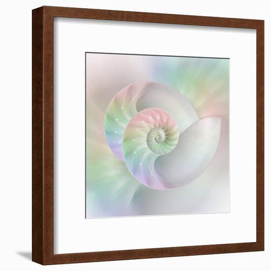 Chambered Nautilus Cutaway Shells on Colorful-Stela Knezevic-Framed Art Print