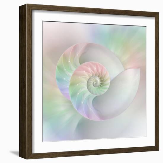 Chambered Nautilus Cutaway Shells on Colorful-Stela Knezevic-Framed Art Print